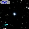 TYC 1335-260-1