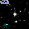 TYC 1335-1031-1