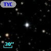 TYC 1335-1406-1