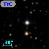 TYC 1335-1666-1