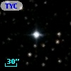 TYC 1335-1739-1