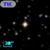 TYC 1335-1843-1
