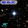 HD  49242