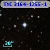 TYC 3164-1255-1