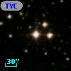 TYC 1331-1305-1