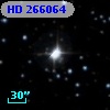 HD 266064