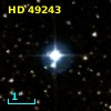 HD  49243