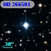 HD 266501