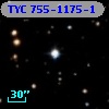 TYC  755-1175-1