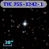 TYC  755-1242-1