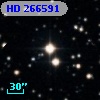 HD 266591
