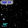 36P 37