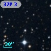 37P  3
