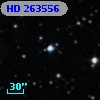 HD 263556