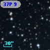 37P  9