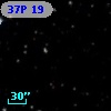 37P 19