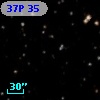 37P 35