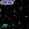 37P 56