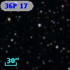 36P 17