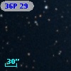 36P 29