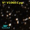 V* V1060 Cyg