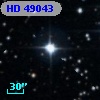 HD  49043