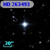 HD 263493