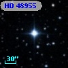 HD  48955