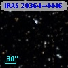 IRAS 20364+4446