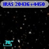 IRAS 20436+4450