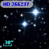 HD 266237