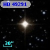 HD  49291