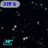 37P  6