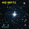 HD  48771