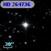 HD 264736