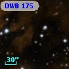 DWB 175
