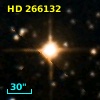 HD 266132