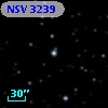 NSV  3239