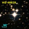 HD  48828