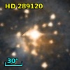 HD 289120