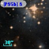[P85b]  8