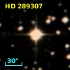 HD 289307
