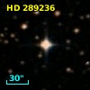 HD 289236