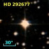 HD 292677