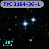 TYC 3164-36-1