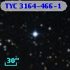TYC 3164-466-1