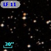 LF 11