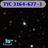 TYC 3164-677-1