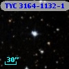 TYC 3164-1132-1