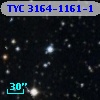 TYC 3164-1161-1